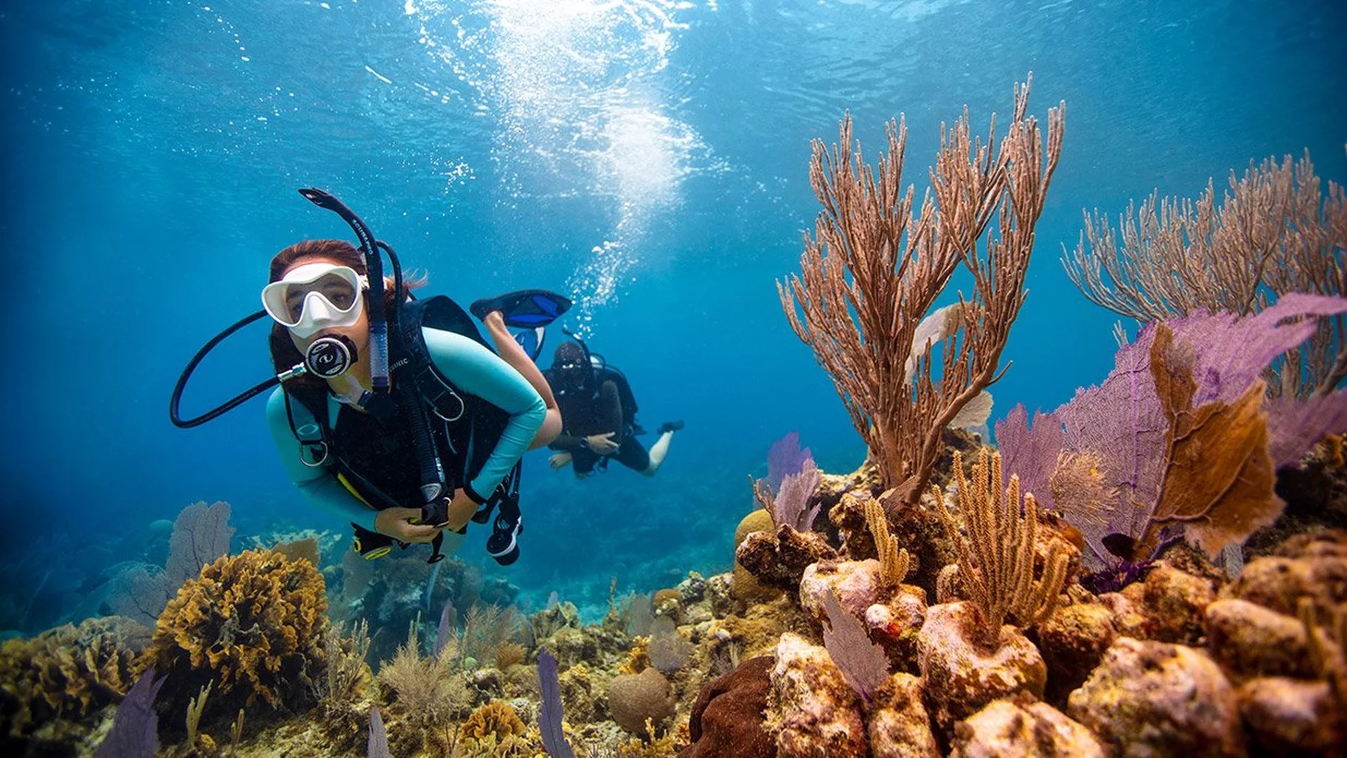 Deep Blue Wonders: A Full-Day Scuba Diving Experience in Boracay